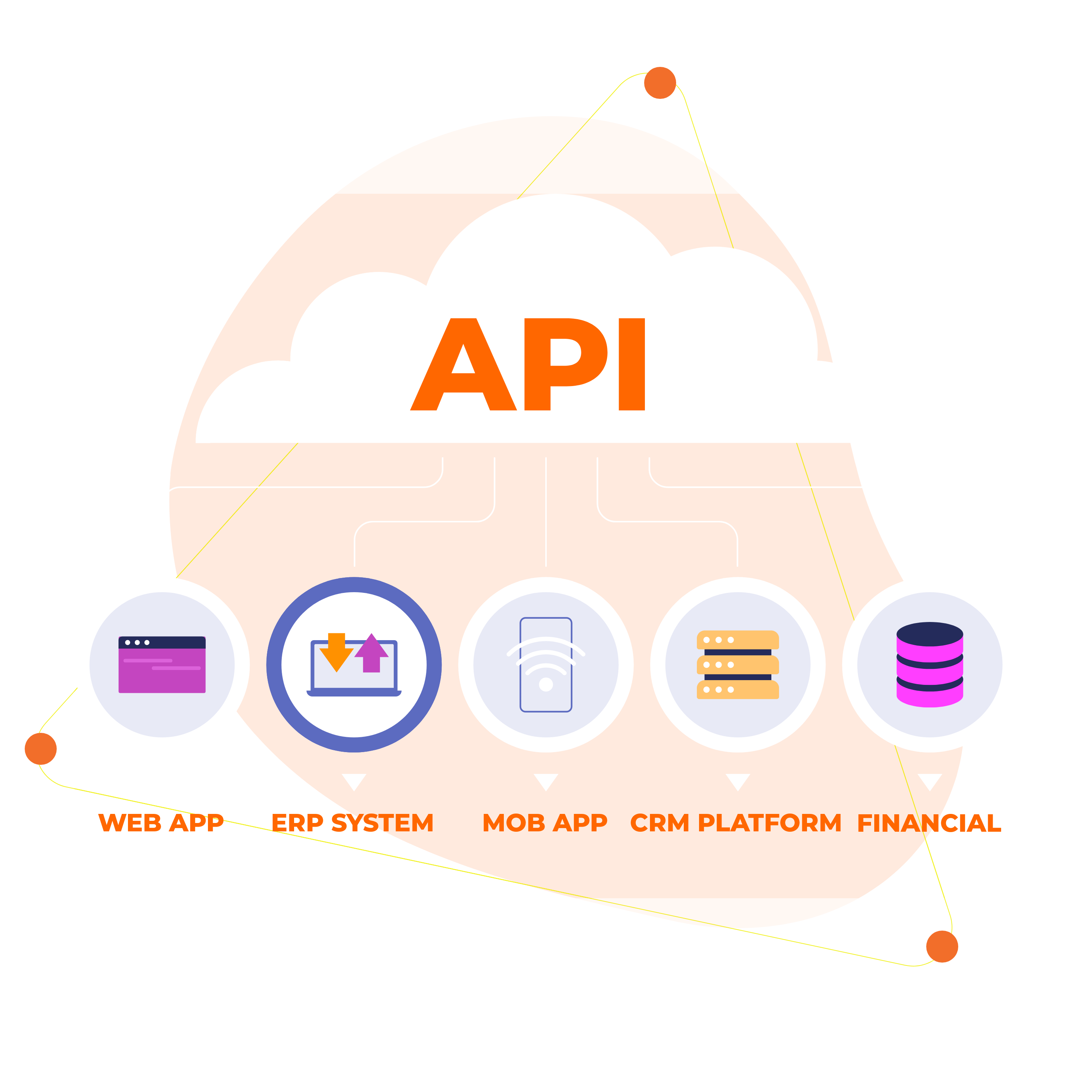Flexible API Integration Across Systems